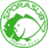 Логотип компании Кайман67