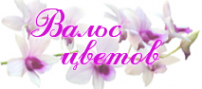Логотип компании Вальс цветов