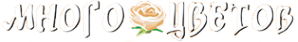 Логотип компании Много цветов