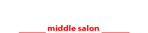 Логотип компании New York City Salon