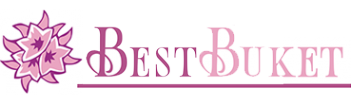 Логотип компании Best buket